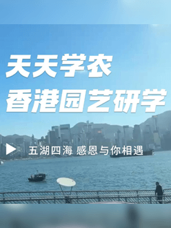 与香港园艺学会联合举办香港园艺研学，专业园境师带队讲解。