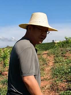 农业人叶涛，50多岁通讯人跨界搞农业，他要用1000万打造一个梦。